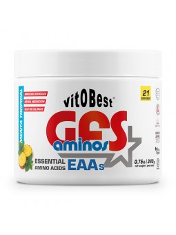 GFS Aminos 340 g