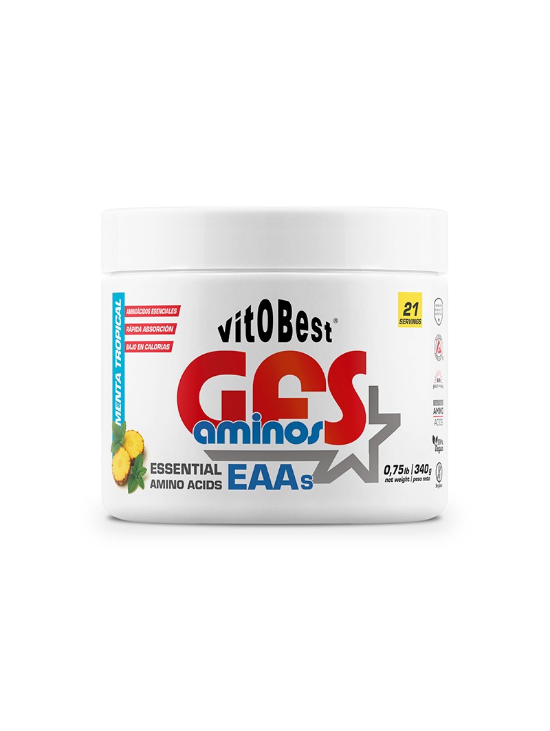 GFS Aminos 340 g