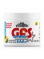 GFS Aminos 340 g