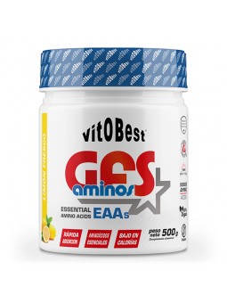 GFS Aminos (Pó)