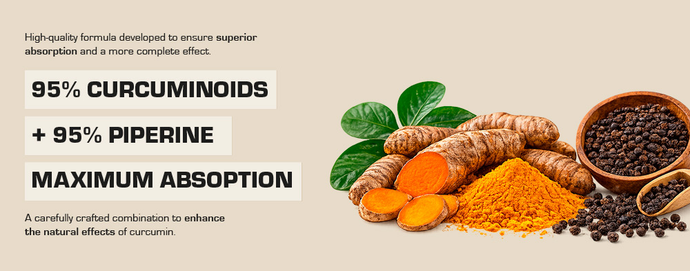 Curcumin (RHIZOmin 95®) 04
