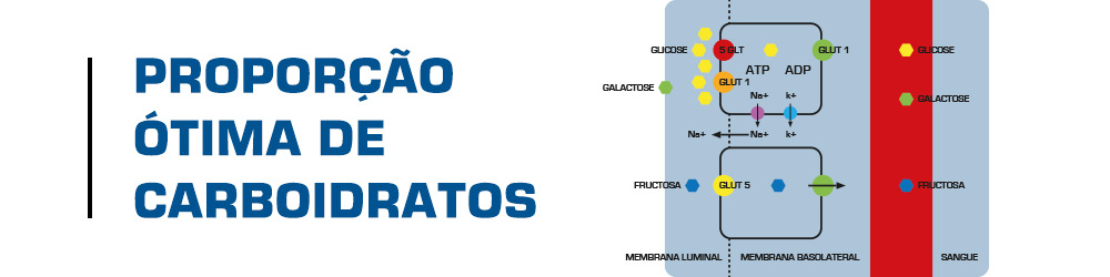 Hypotonic Hydration 03