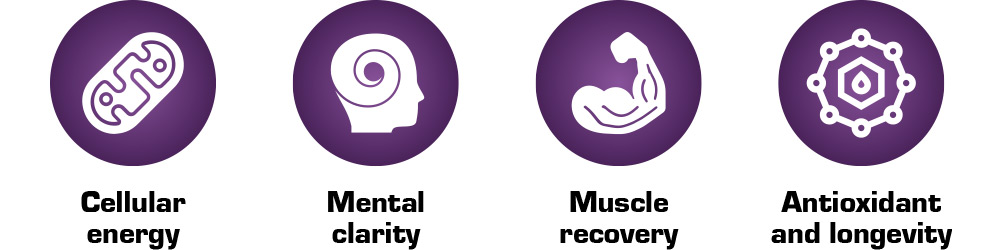 NAD+ & Pterostilbene 02